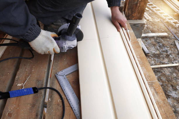 Best Vinyl Siding Installation  in Judsonia, AR